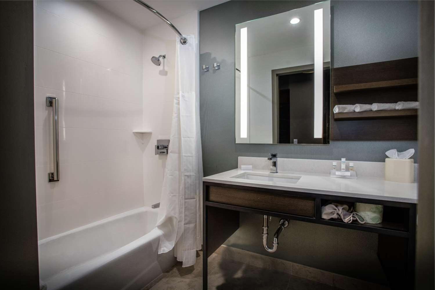 King Room Accessible Tub Mobility Access