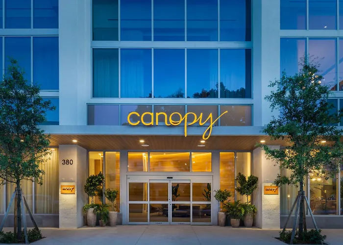 Canopy By Hilton West Palm Beach Downtown